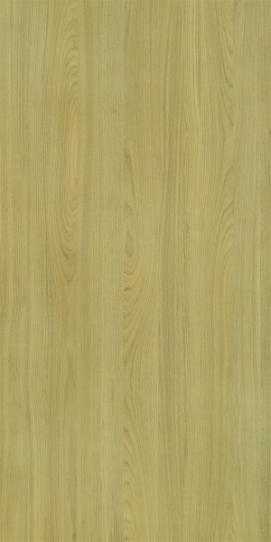 ModernWood Texture