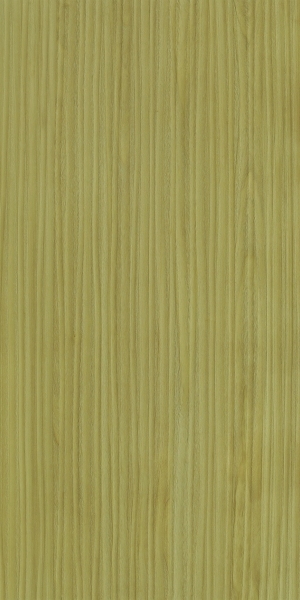 ModernWood Texture