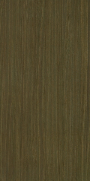ModernWood Texture