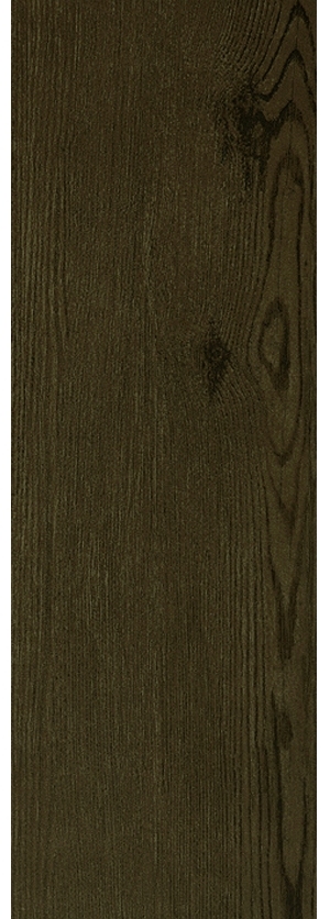 ModernWood Texture