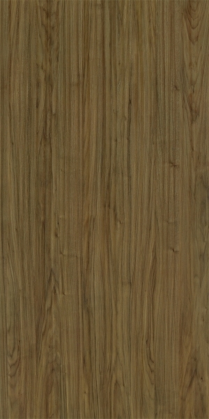 ModernWood Texture
