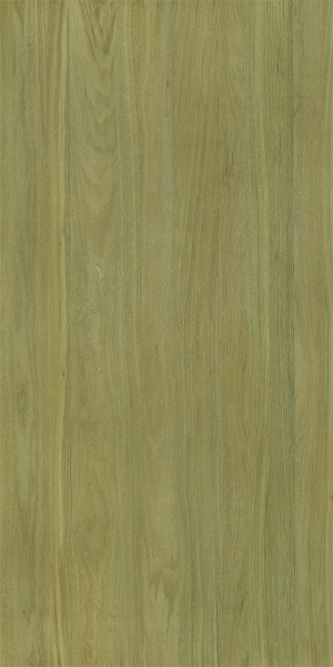 ModernWood Texture