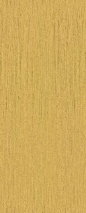 ModernWood Texture