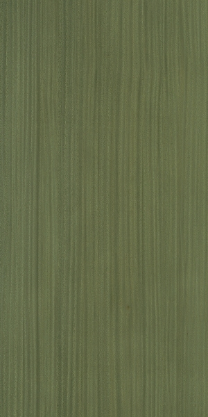 ModernWood Texture