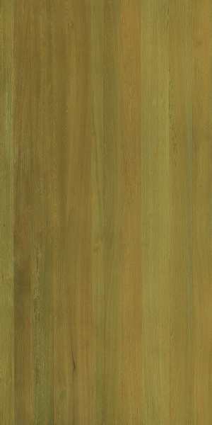 ModernWood Texture
