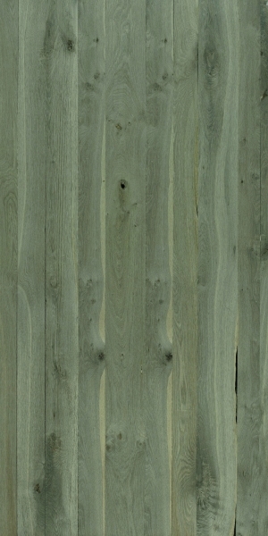 ModernWood Texture