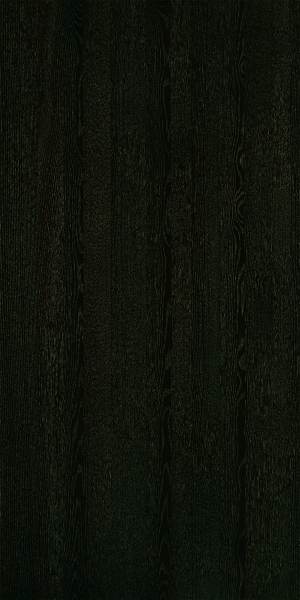 ModernWood Texture