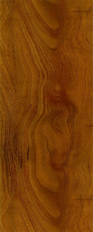 ModernWood Texture