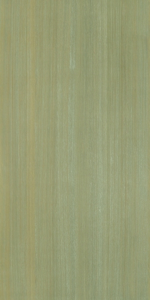 ModernWood Texture