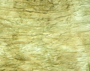 ModernWood Texture