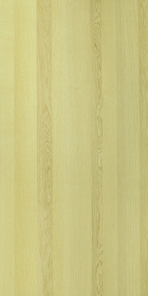 ModernWood Texture