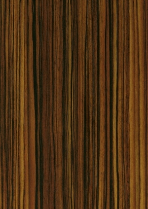 ModernWood Texture