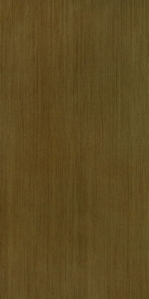 ModernWood Texture