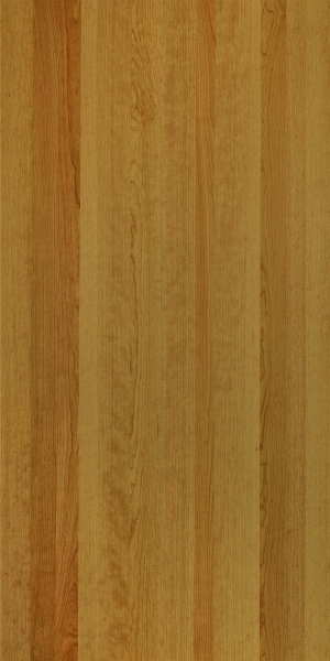 ModernWood Texture