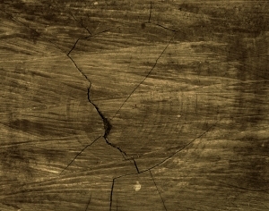 ModernWood Texture