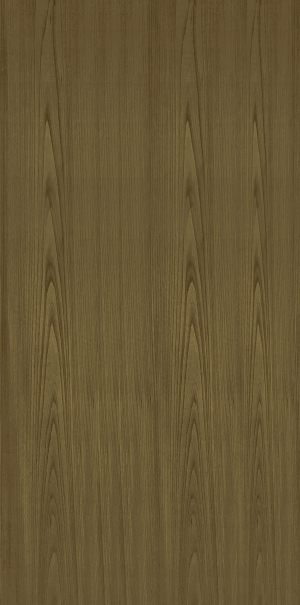ModernWood Texture