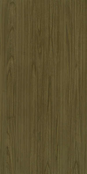 ModernWood Texture