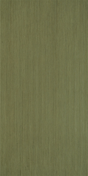 ModernWood Texture