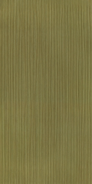 ModernWood Texture