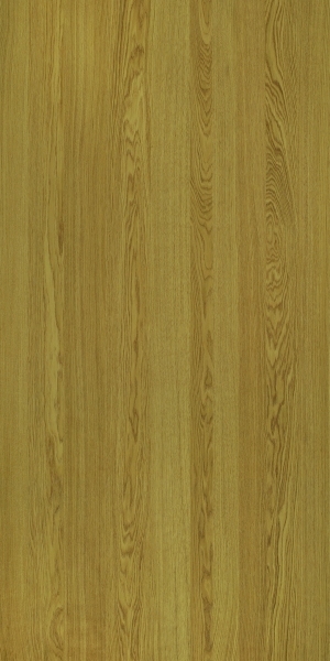 ModernWood Texture
