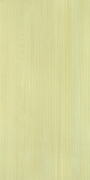 ModernWood Texture