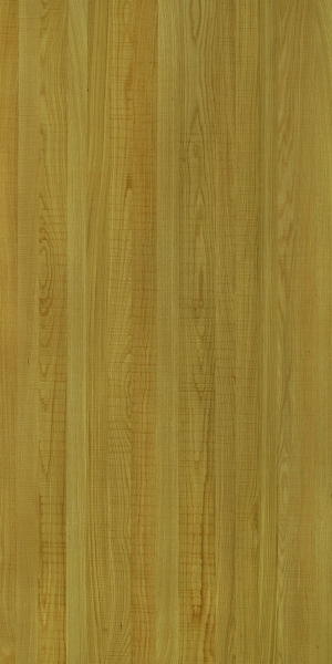 ModernWood Texture