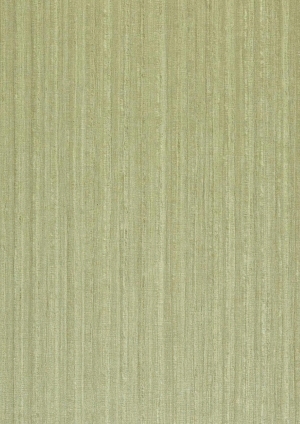 ModernWood Texture