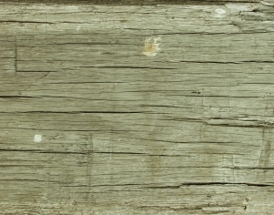 ModernWood Texture