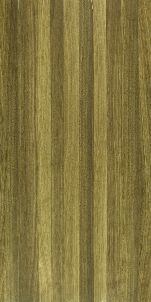 ModernWood Texture