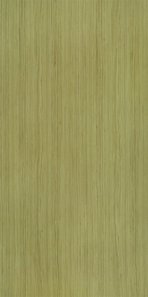 ModernWood Texture
