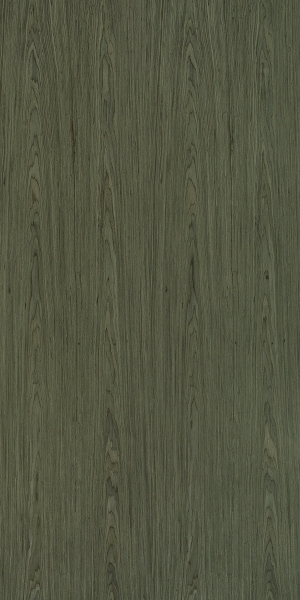 ModernWood Texture