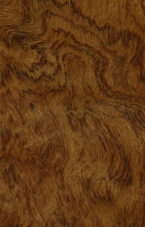 ModernWood Texture