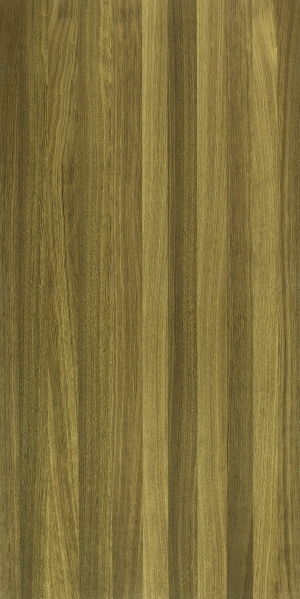 ModernWood Texture