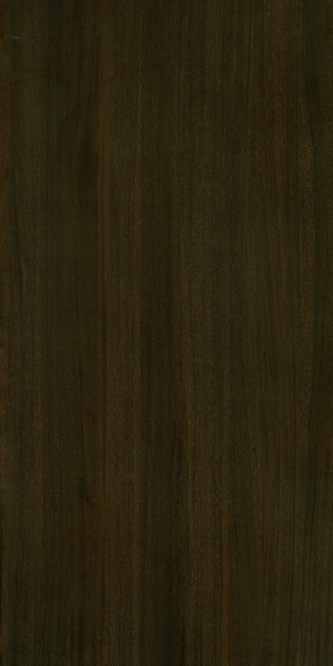 ModernWood Texture