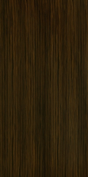 ModernWood Texture