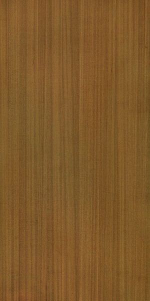 ModernWood Texture