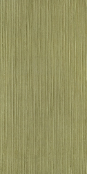 ModernWood Texture