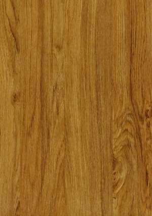 ModernWood Texture