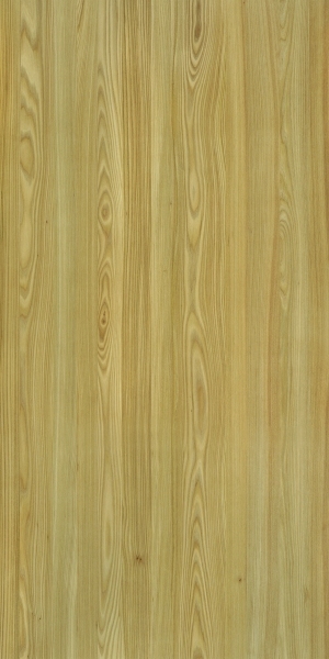 ModernWood Texture