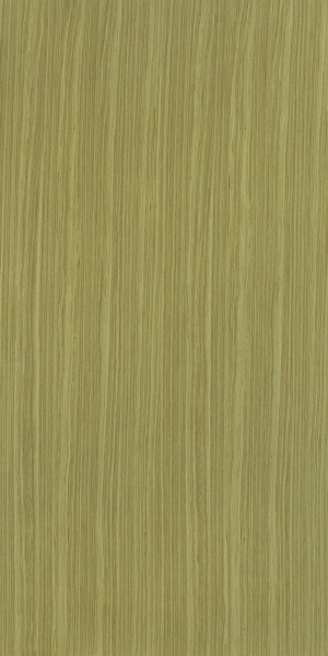 ModernWood Texture