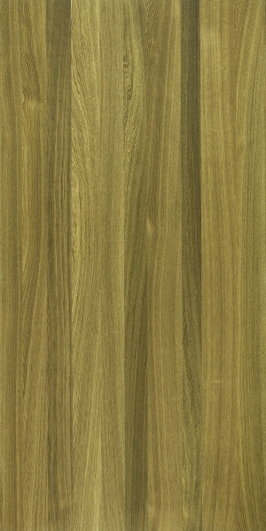 ModernWood Texture
