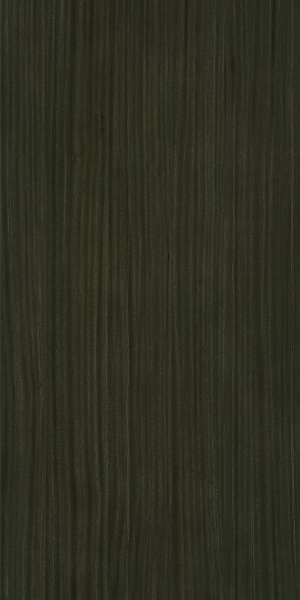 现代木纹-ID:319154027