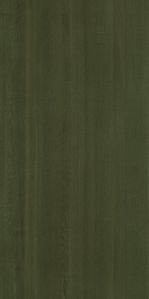 ModernWood Texture
