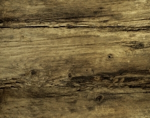ModernWood Texture