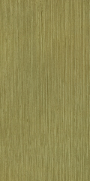 ModernWood Texture