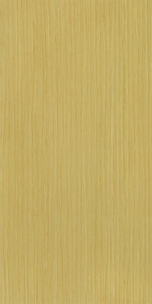ModernWood Texture
