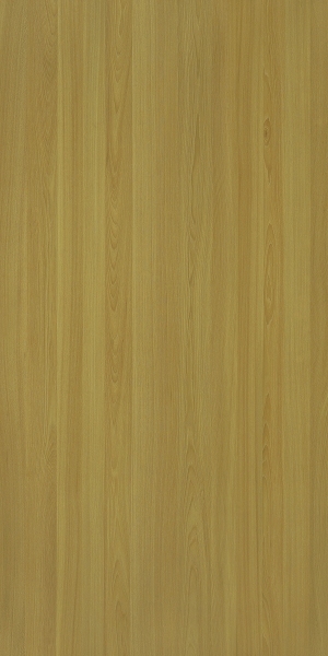 ModernWood Texture