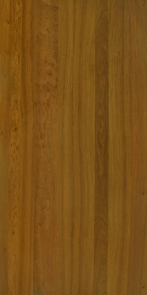ModernWood Texture
