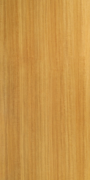 ModernWood Texture