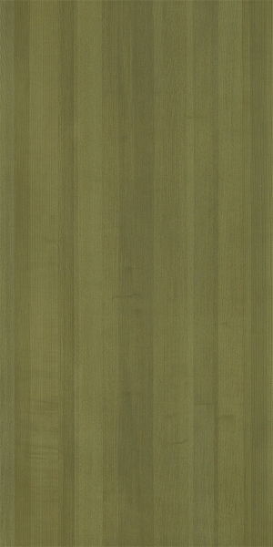 ModernWood Texture